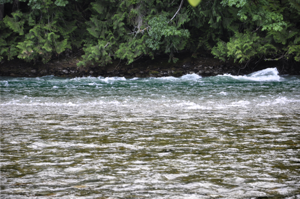 small rapids in the river